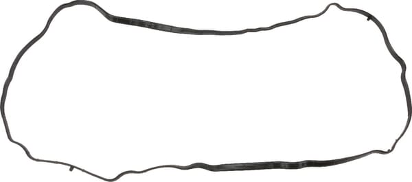 Ventildeckeldichtung (4226557M1) von Agco