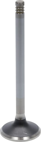 Auslassventil von Deutz 04283381