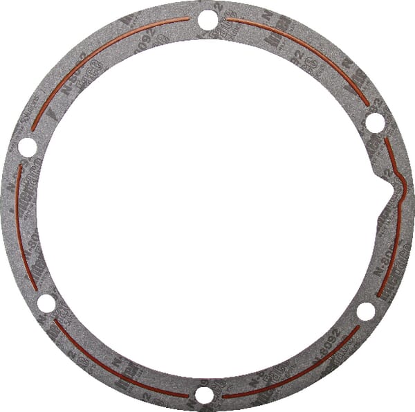 Dichtung (139241C5) von Case IH