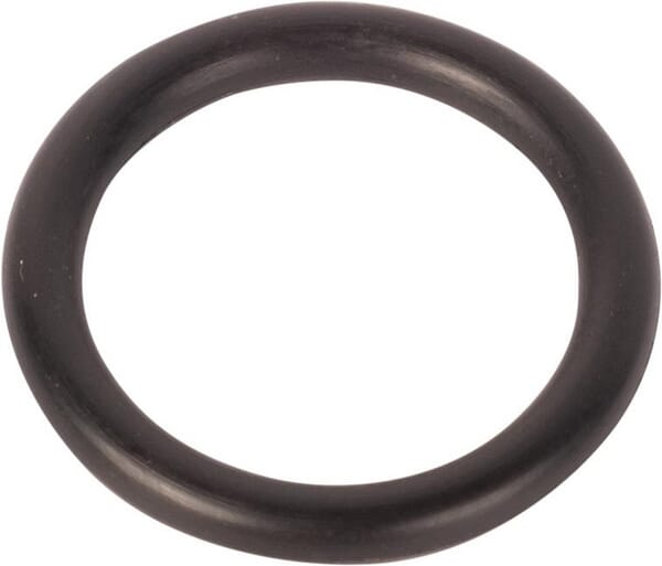 O-Ring (70923645) von Agco