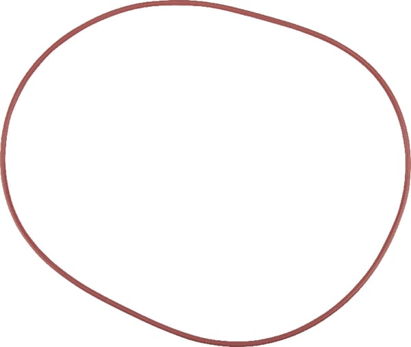 O-Ring (X549044200000) von Agco