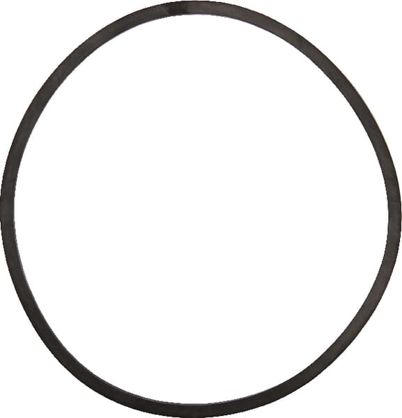 Dichtungsring (81350041) von JCB