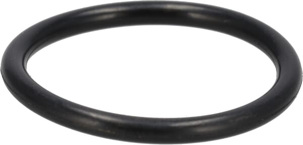 Ring (9672549) von Case IH
