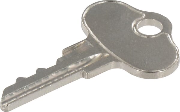 Zündschlüssel CNH (131313C1) von Case IH