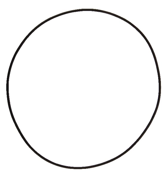 O-Ring 164,77x2,62 12100355