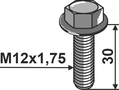 IHOF Sperrzahnschraube M12x1,75
