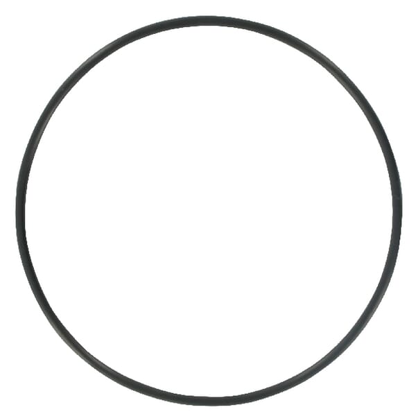 O-Ring Hubeinrichtungszylinder (3057615R1) von Case IH