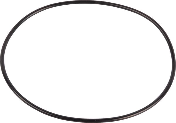O-Ring (131775971) von New Holland