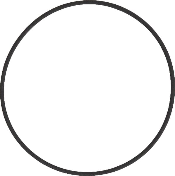 Dichtung der Einspritzpumpe (V614609930) von Agco