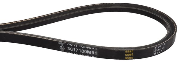 Keilriemen (x2) (3617180M91) von Agco