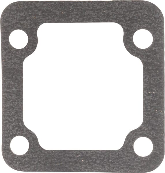 Dichtring (4222155M1) von Agco