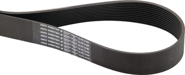 Keilriemen (4385473M1) von Agco