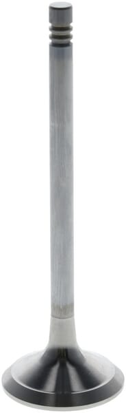 Auslassventil von Deutz 04268373