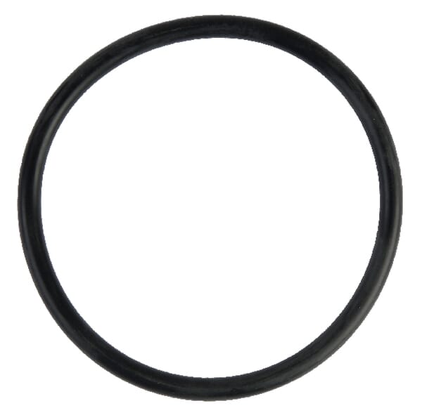 O-Ring Case-IH (711048R2) von Case IH