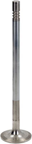 Einlassventil von Deutz 04515274