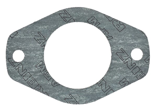 Dichtung Einspritzpumpe (3055384R3) von Case IH