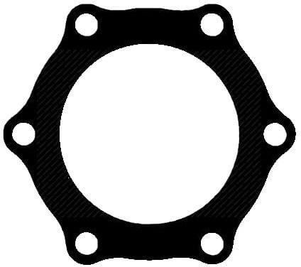 Flachdichtungsmotor  (500387050FPT) von New Holland