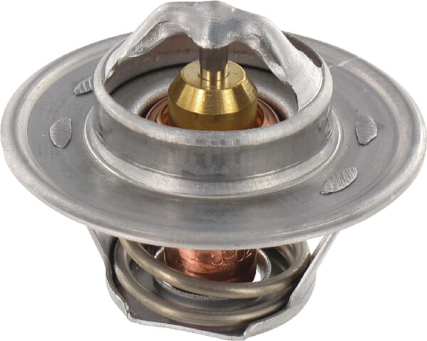 Thermostat (V836015156) von Agco