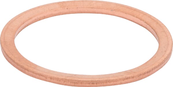 Dichtung Thermostat (V615882227) von Agco