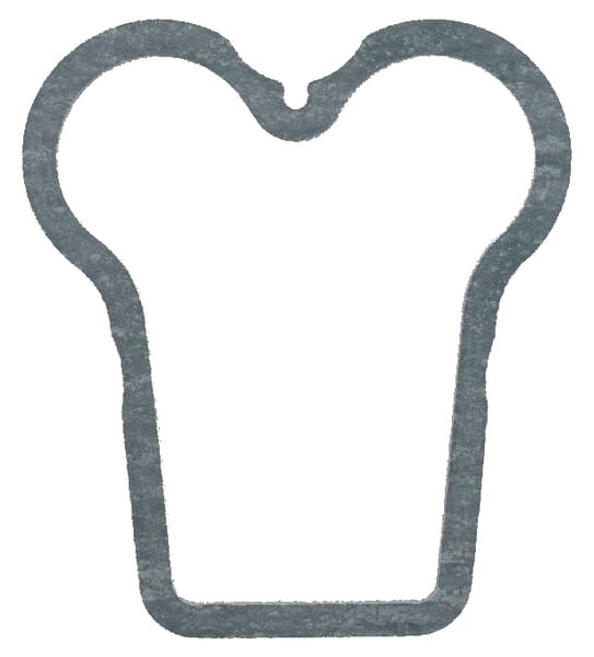 Glaser Dana Ventildeckeldichtung F385200210171N