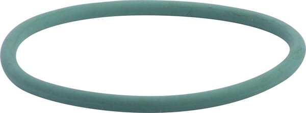 Wasserpumpe O-Ring (17290081) von Case IH