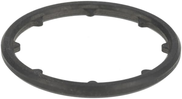 Gummipackungsring von Deutz 04910022