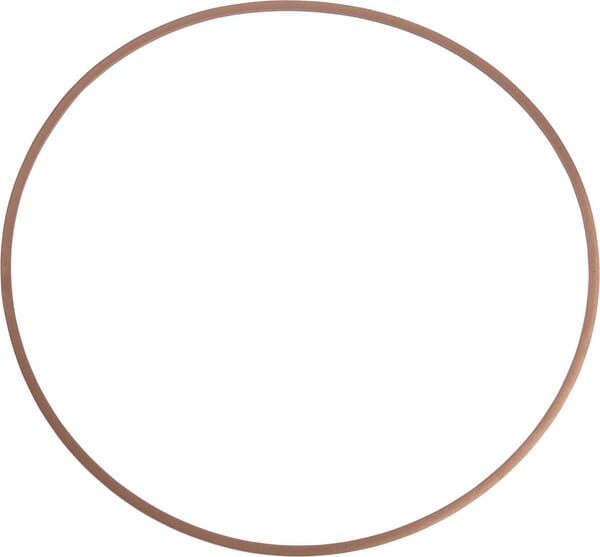 Ring (84405699) von Case IH