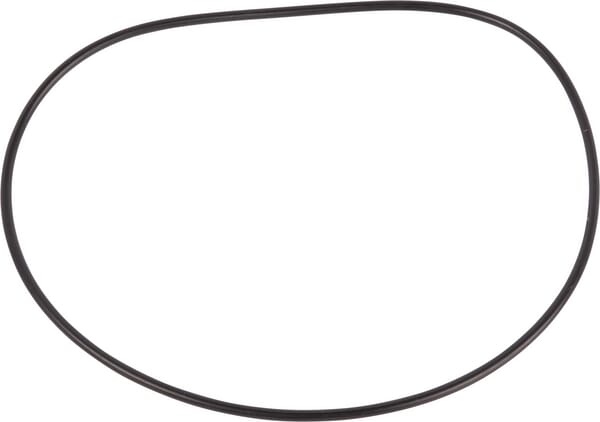 O-Ring (76081077) von Case IH